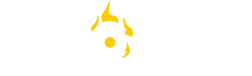 Burner Combustion Systems